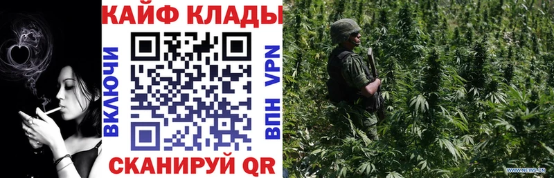 Где можно купить наркотики Вытегра ГАШИШ  Галлюциногенные грибы  Меф  АМФЕТАМИН 