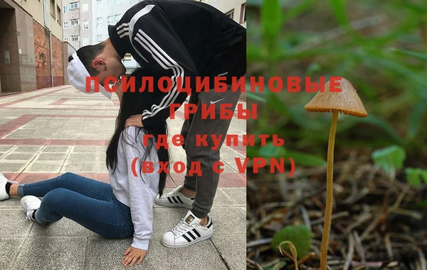 скорость Абаза