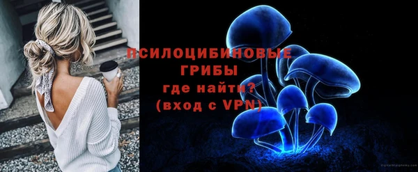 spice Абинск